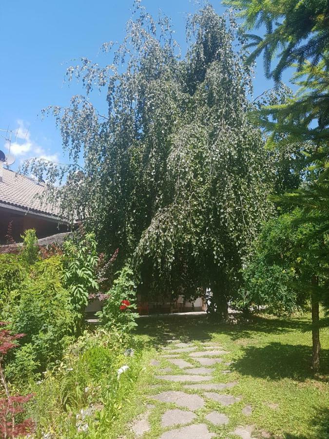 Pelegrin 15 Apartment San Vigilio Di Marebbe Exterior photo